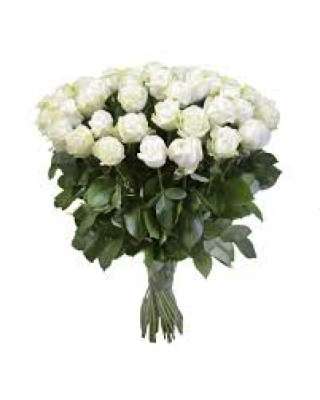 white-roses