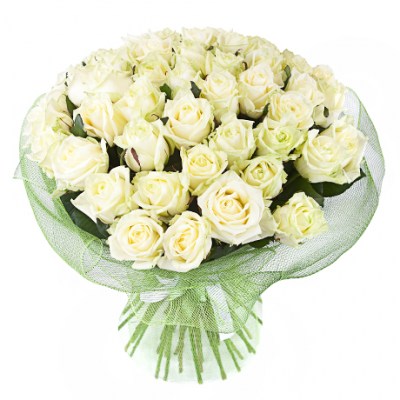 white_roses_526d4cf72bc70